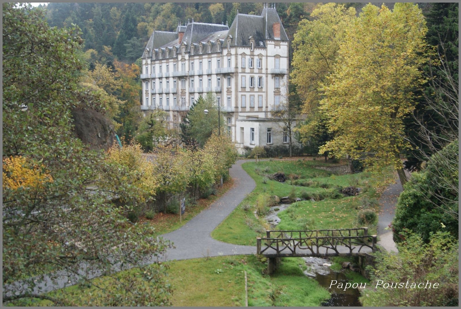 Saint Nectaire