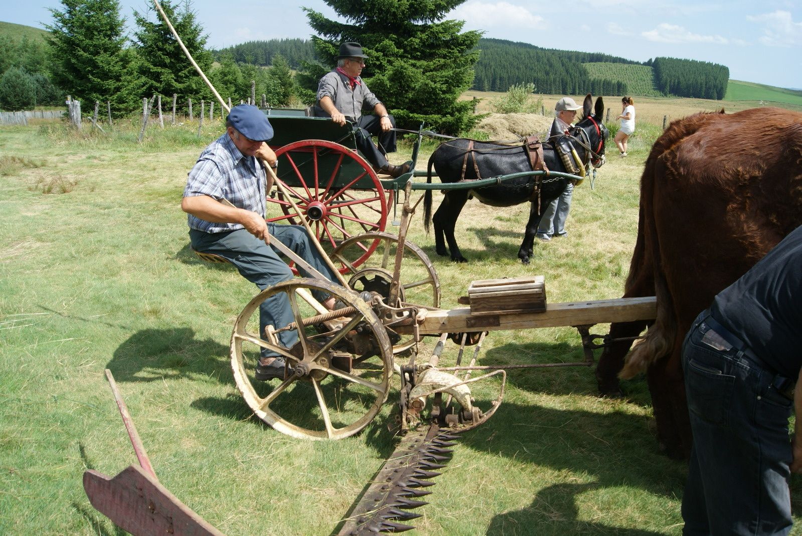 L'estive à Besse en Chandesse et au Lac Pavin