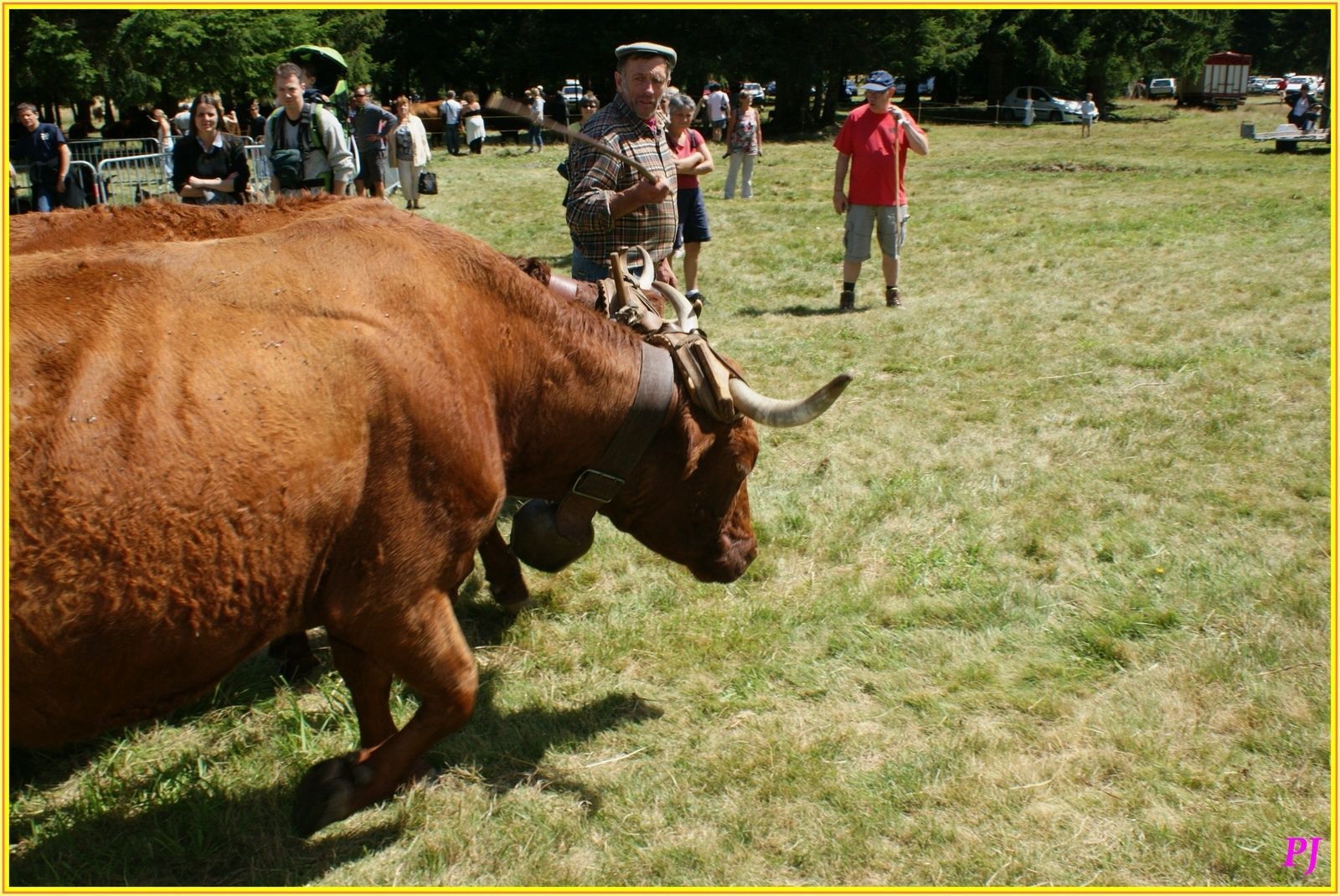 L'estive à Besse en Chandesse et au Lac Pavin