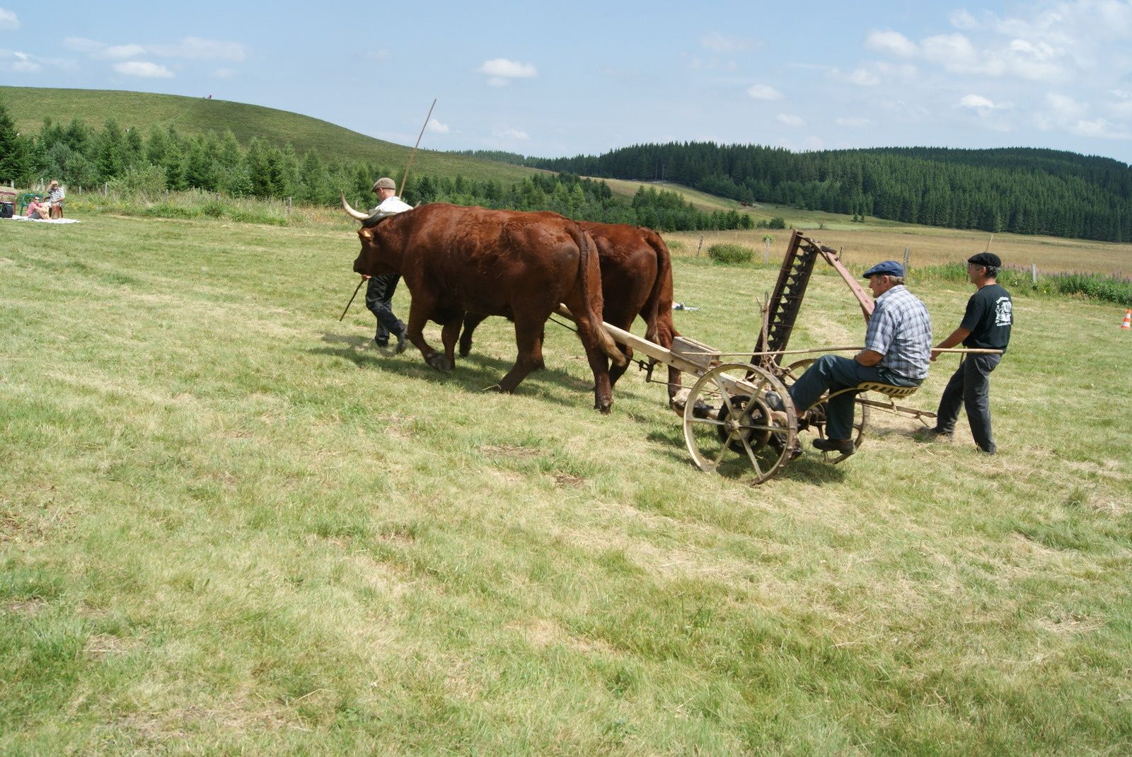 L'estive à Besse en Chandesse et au Lac Pavin