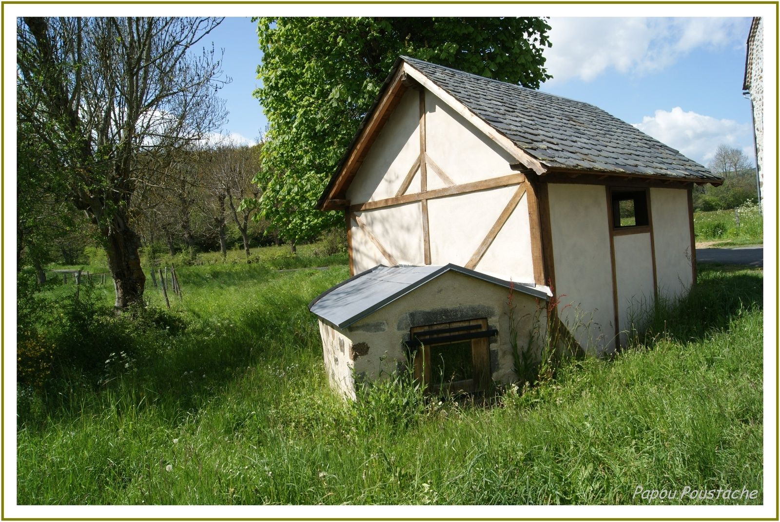 Source Font de Vie à Coren (Cantal)