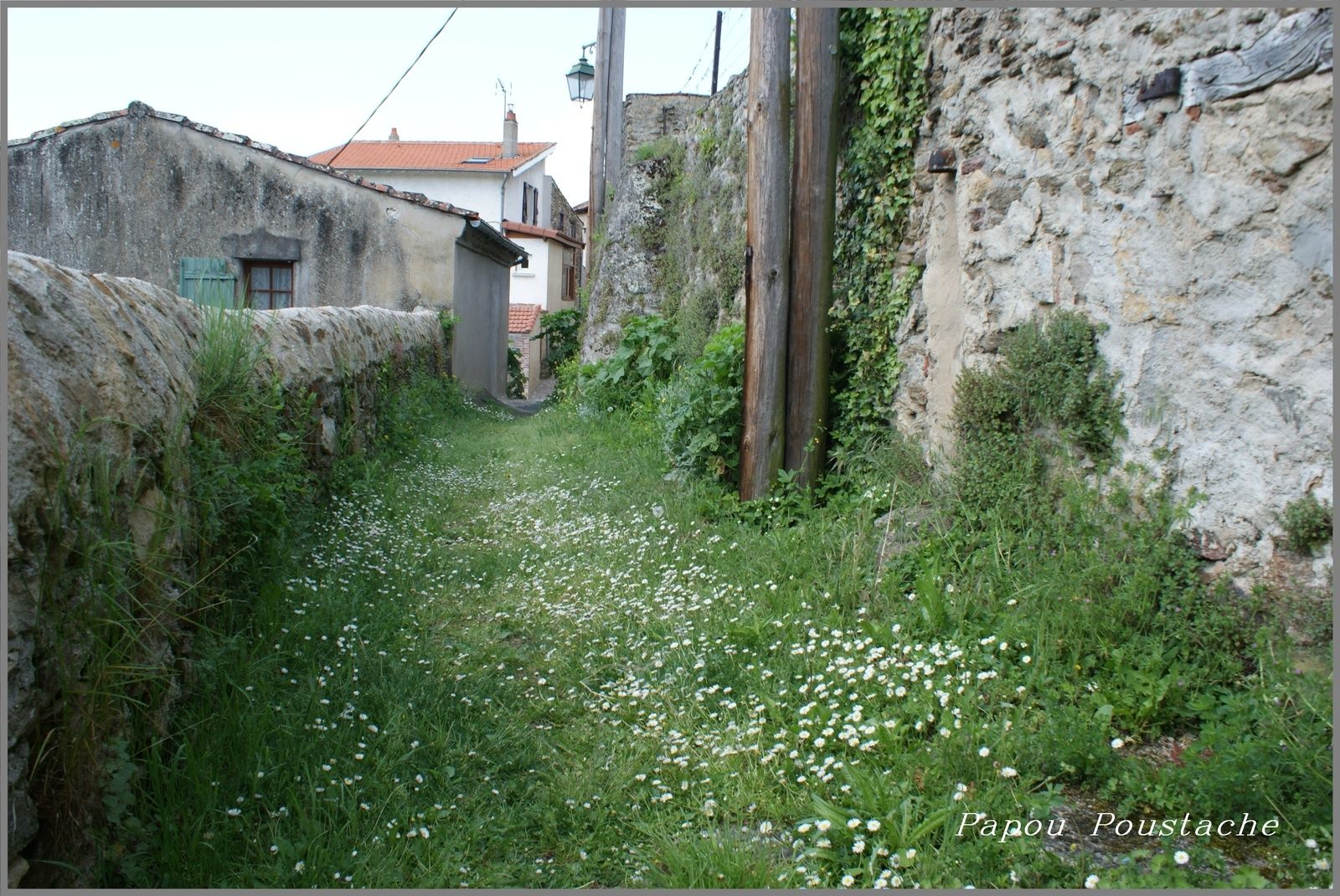 Printemps à Auzon .
