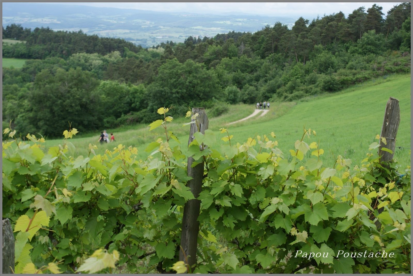 Randonnée 2016  à Auzon