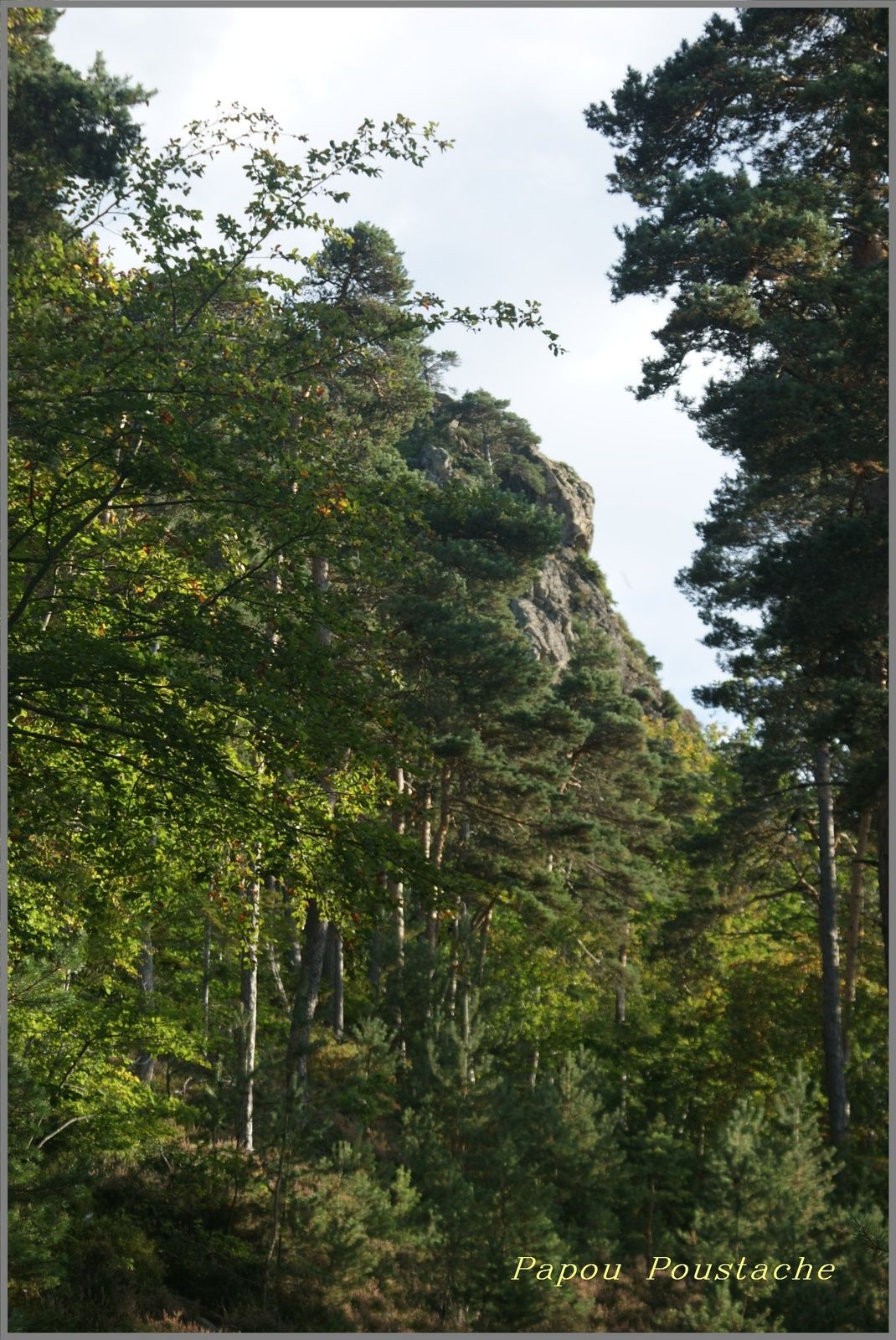 Randonnée du Brame à Arlet