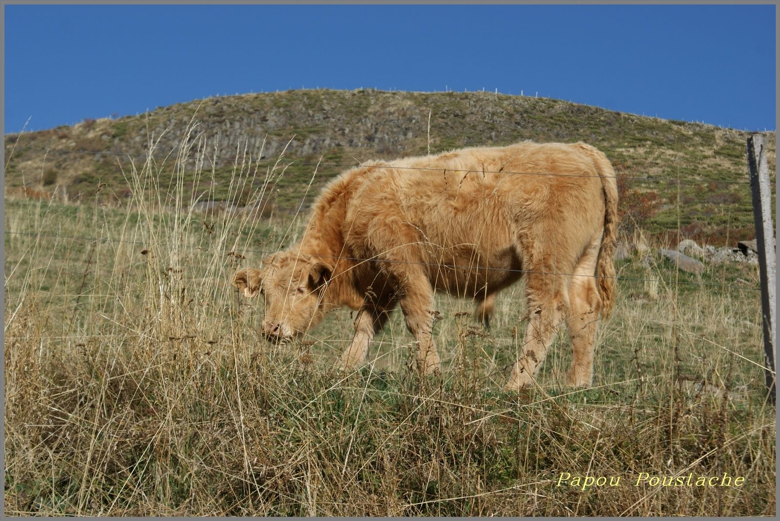 Les monts du Cantal