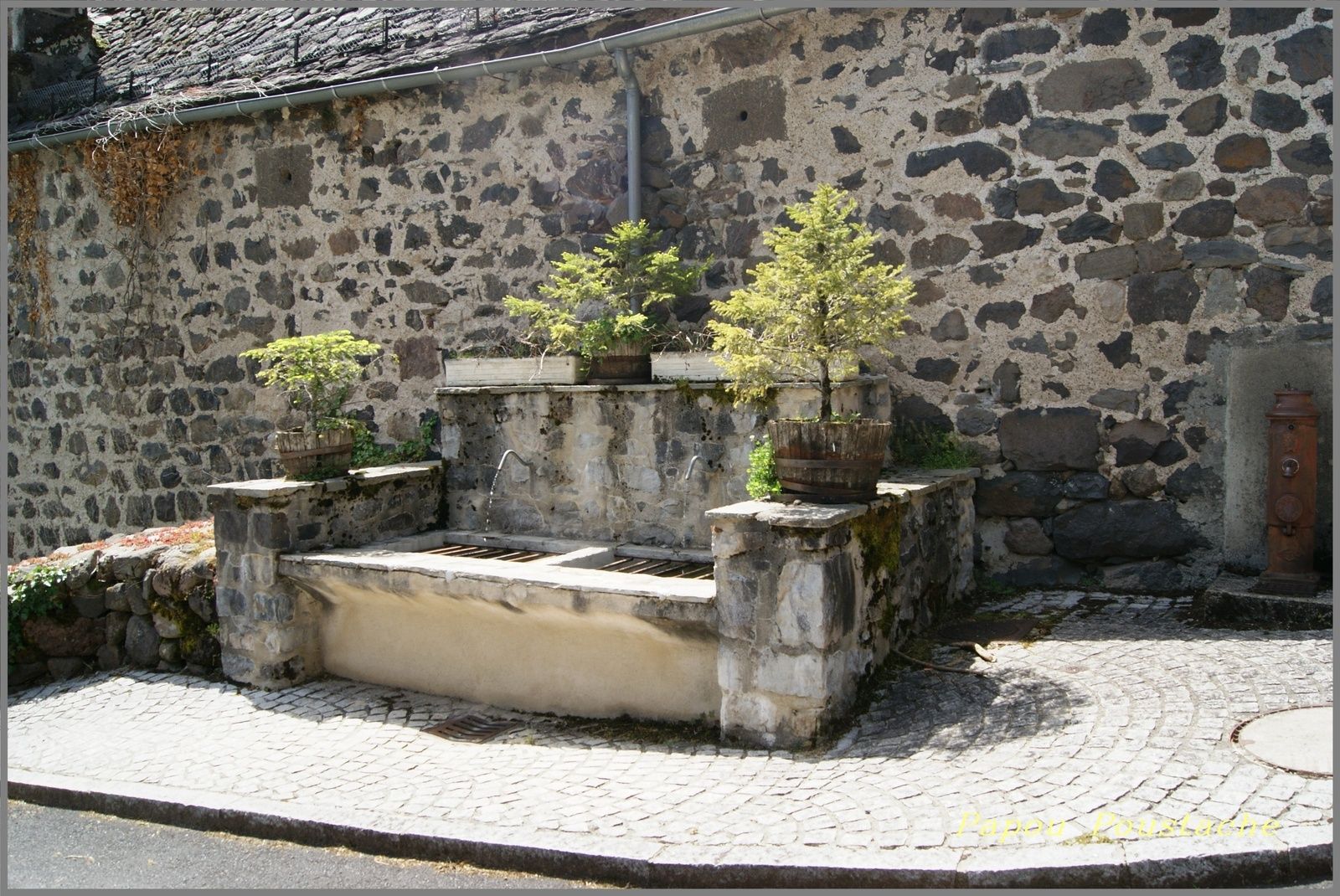 Saint Vincent de Salers