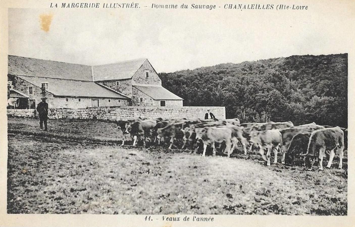 Le domaine du sauvage
