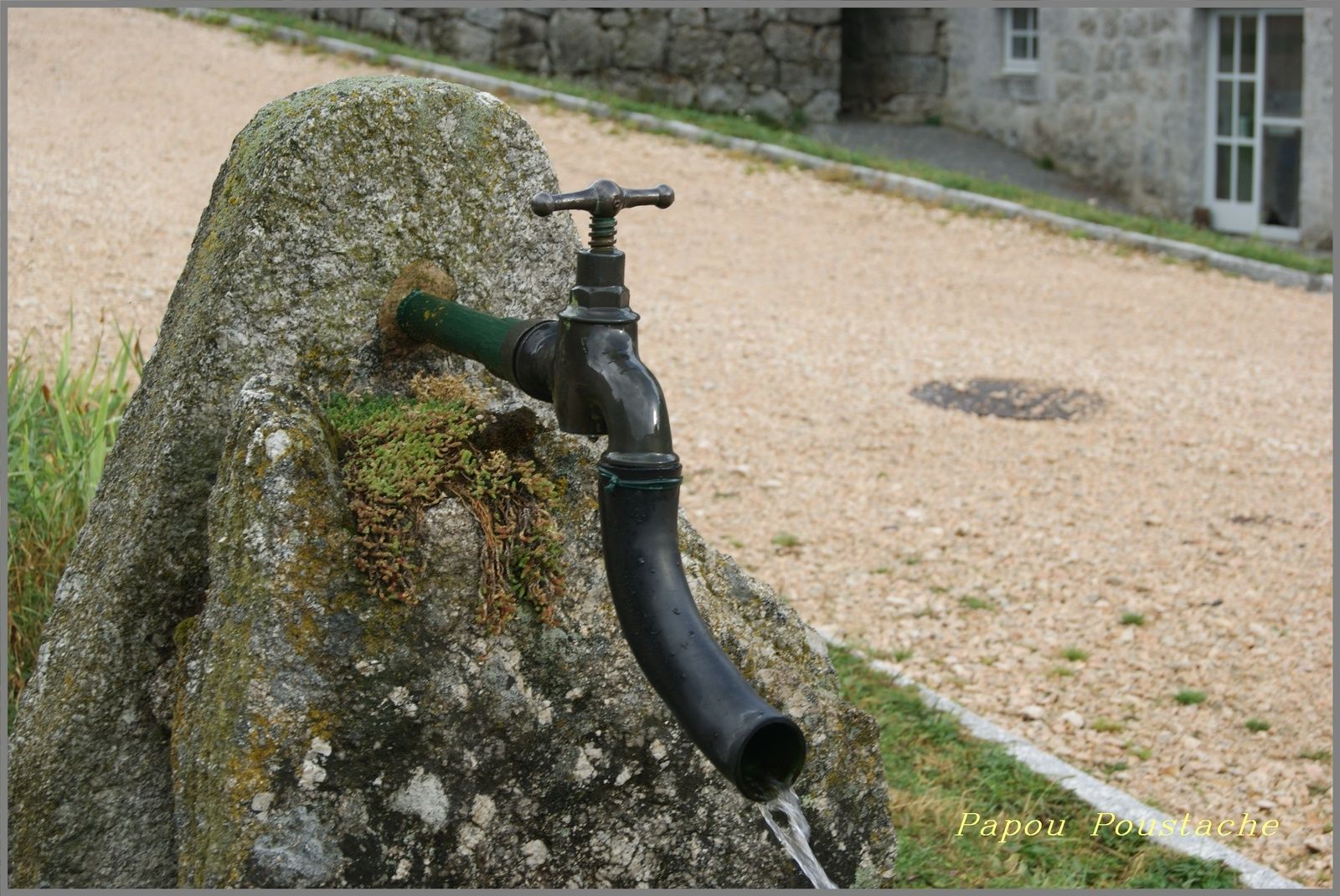 Le domaine du sauvage
