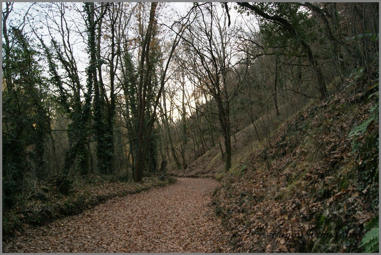 Randonnée au domaine de Vort