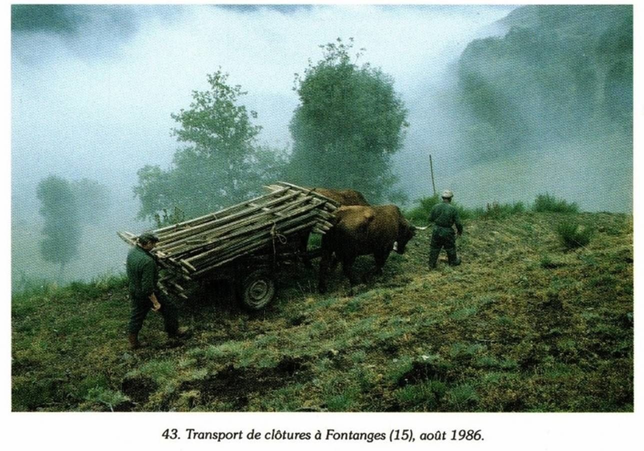 Il était une fois Fontanges
