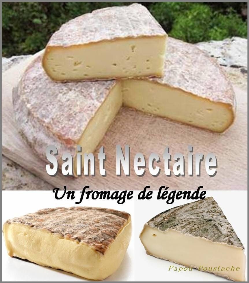 Les fromages d'Auvergne: Le St Nectaire
