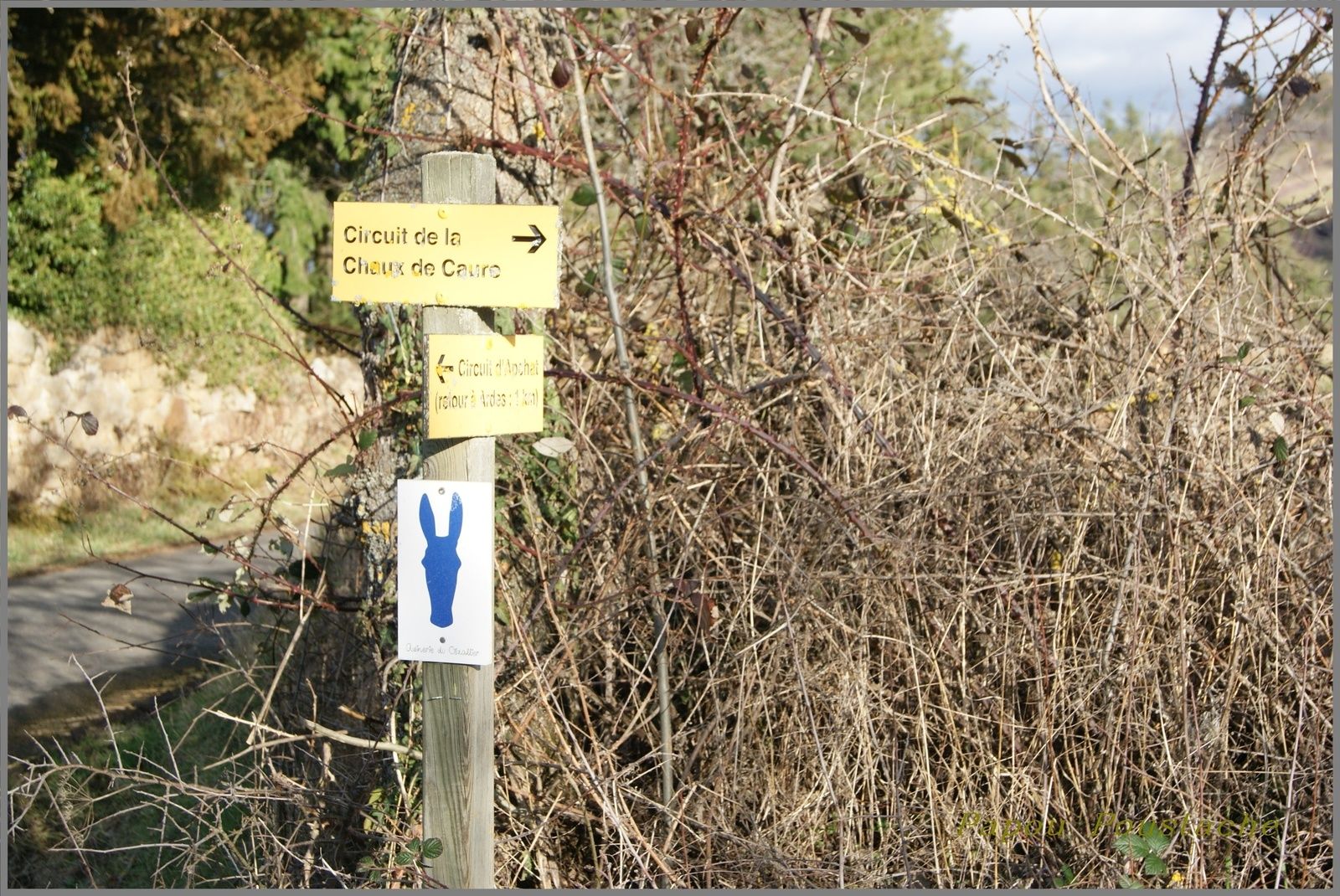 Randonnée autour d'Augnat