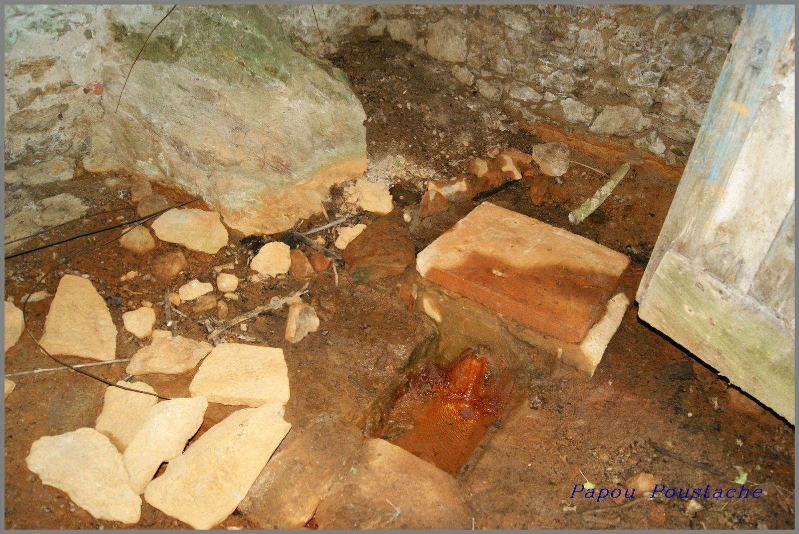 Les sources d'Auvergne: Le Say