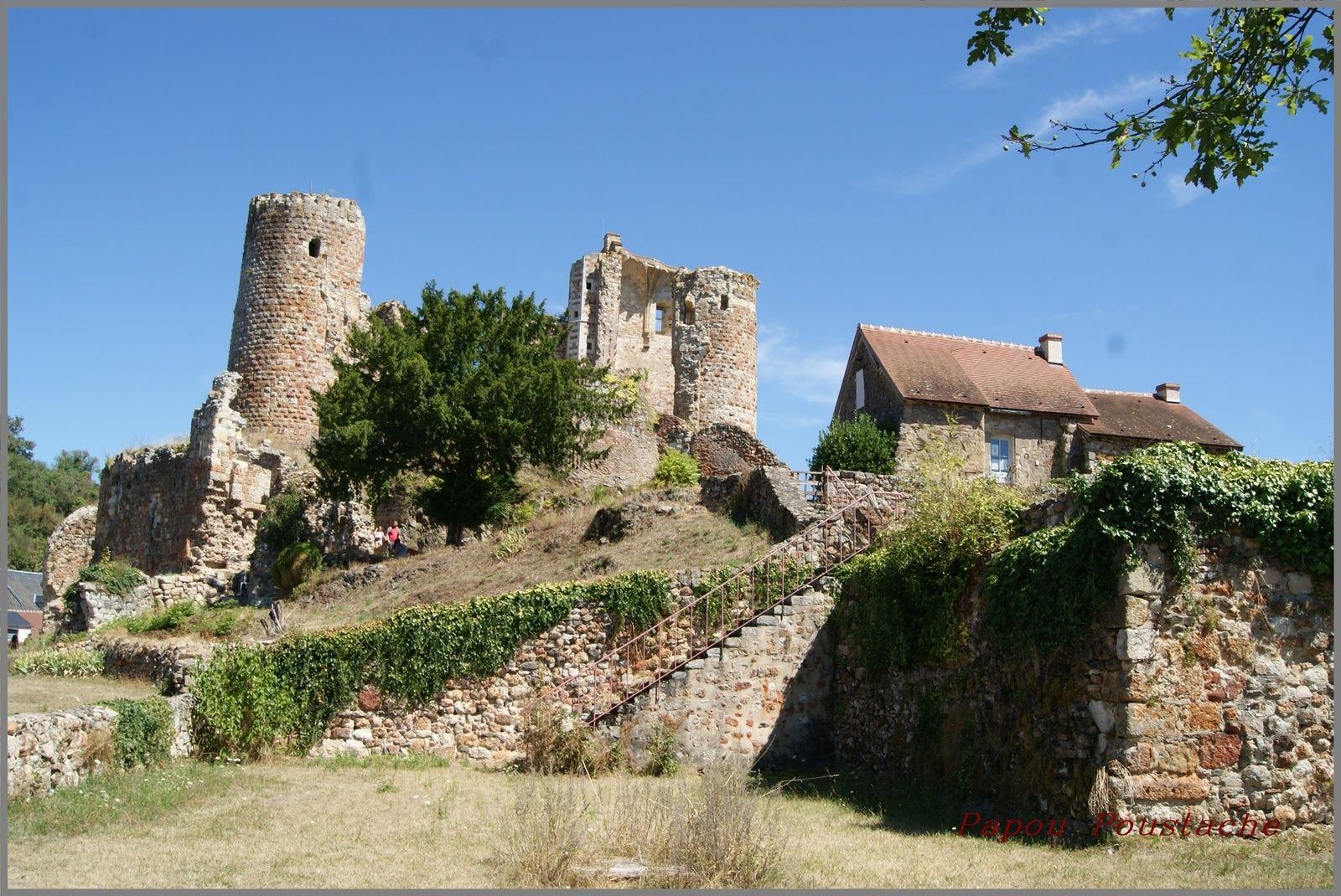 Hérisson
