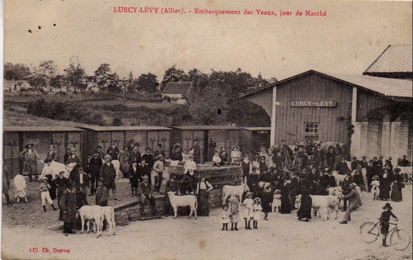 Il était une fois Lurcy Levy