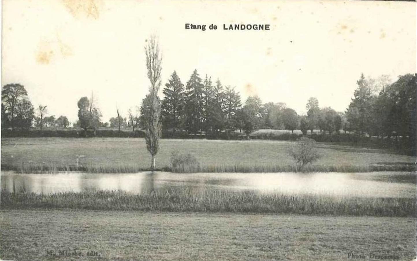 Landogne