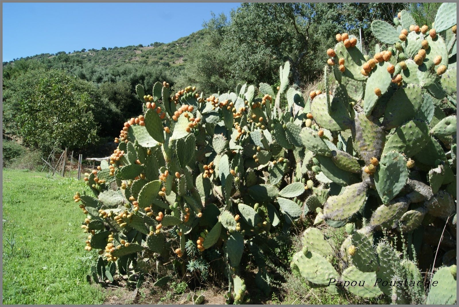 La Sardaigne autrement
