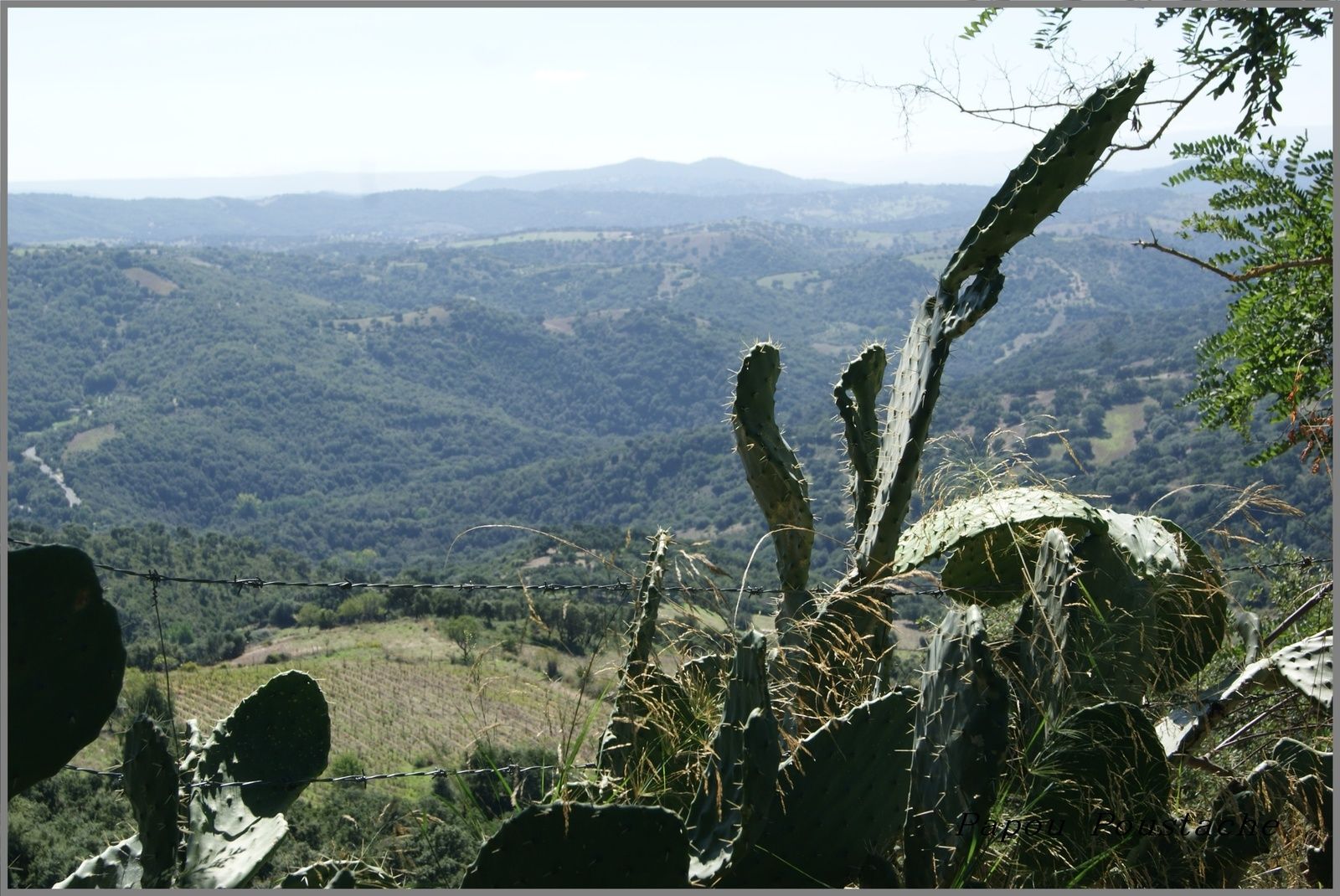 La Sardaigne autrement