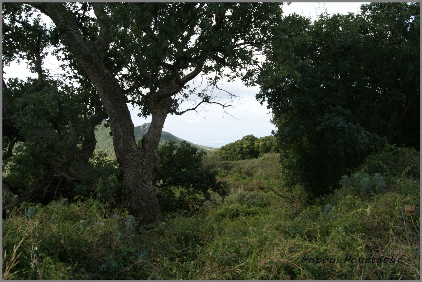 La Sardaigne autrement