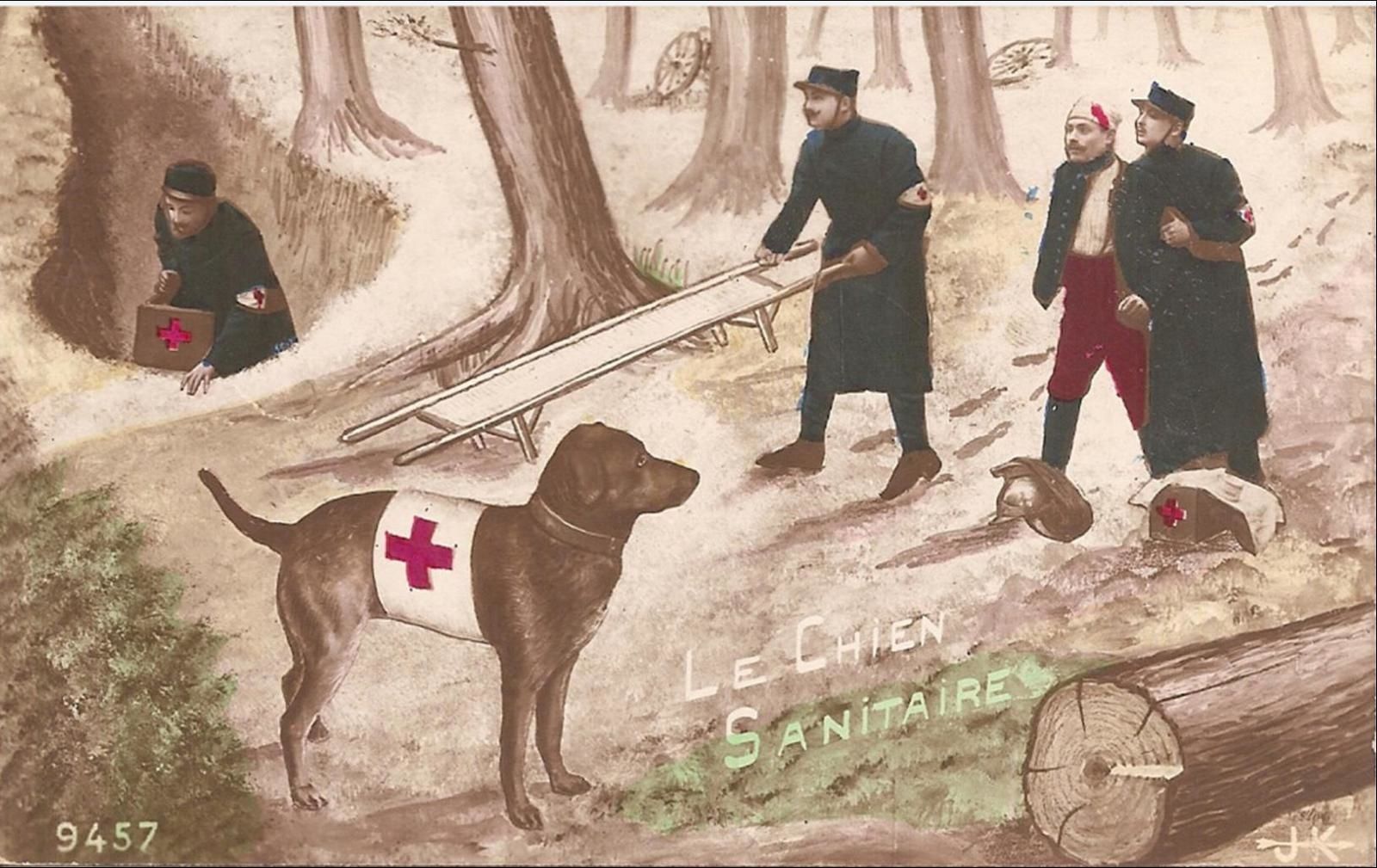 Les animaux pendant la grande Guerre