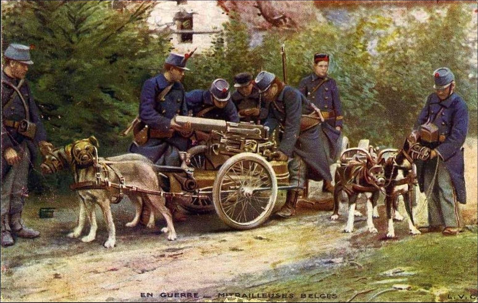 Les animaux pendant la grande Guerre