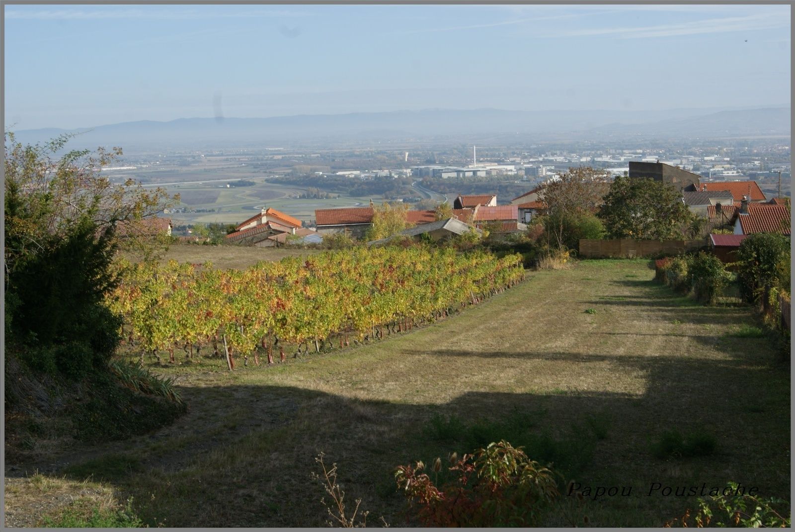 Il est question du Syndicat Viticole de Châteaugay dès 1874.  Les premiers statuts datent de 1913 en tant que Syndicat de Défense des Vins de Châteaugay.   Ce syndicat a pour but premier de fédérer ses adhérents (vignerons, metteurs en marché, négociants) de défendre le vin du crû de Châteaugay et de permettre l’apurement des prestations viniques (distillation des marcs, lies, vins) par le biais de son propre alambic. Par la suite, un regroupement sous forme de C.U.M.A. permettra l’achat de matériels viti-vinicole et agricole.