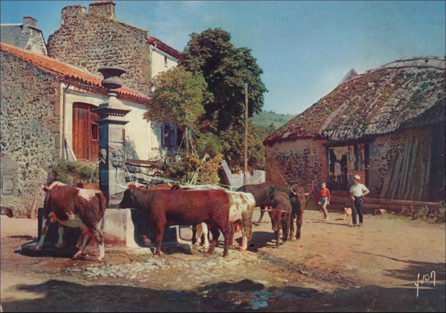 L'Auvergne à la campagne c'était ça