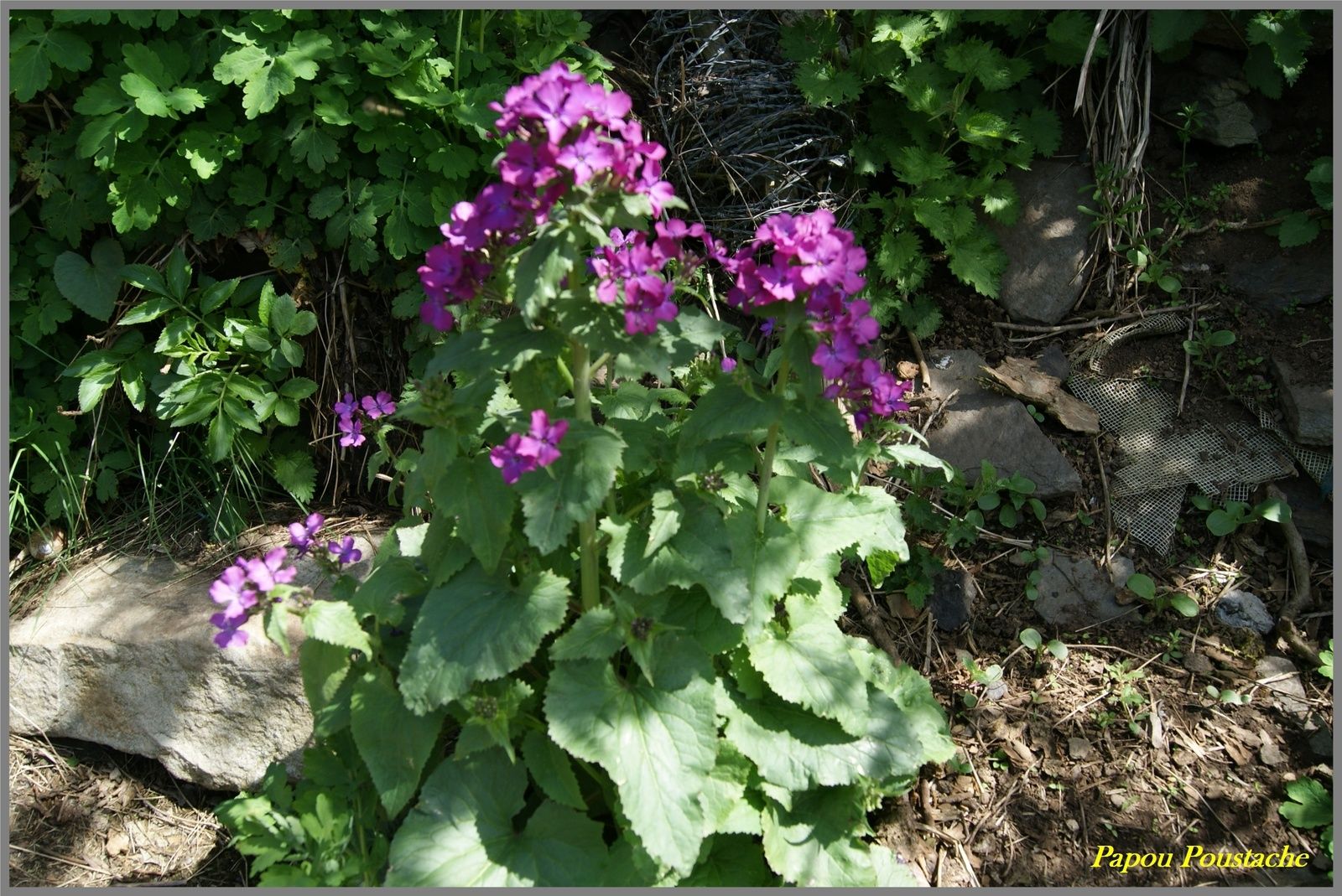 Chaudeyrolles