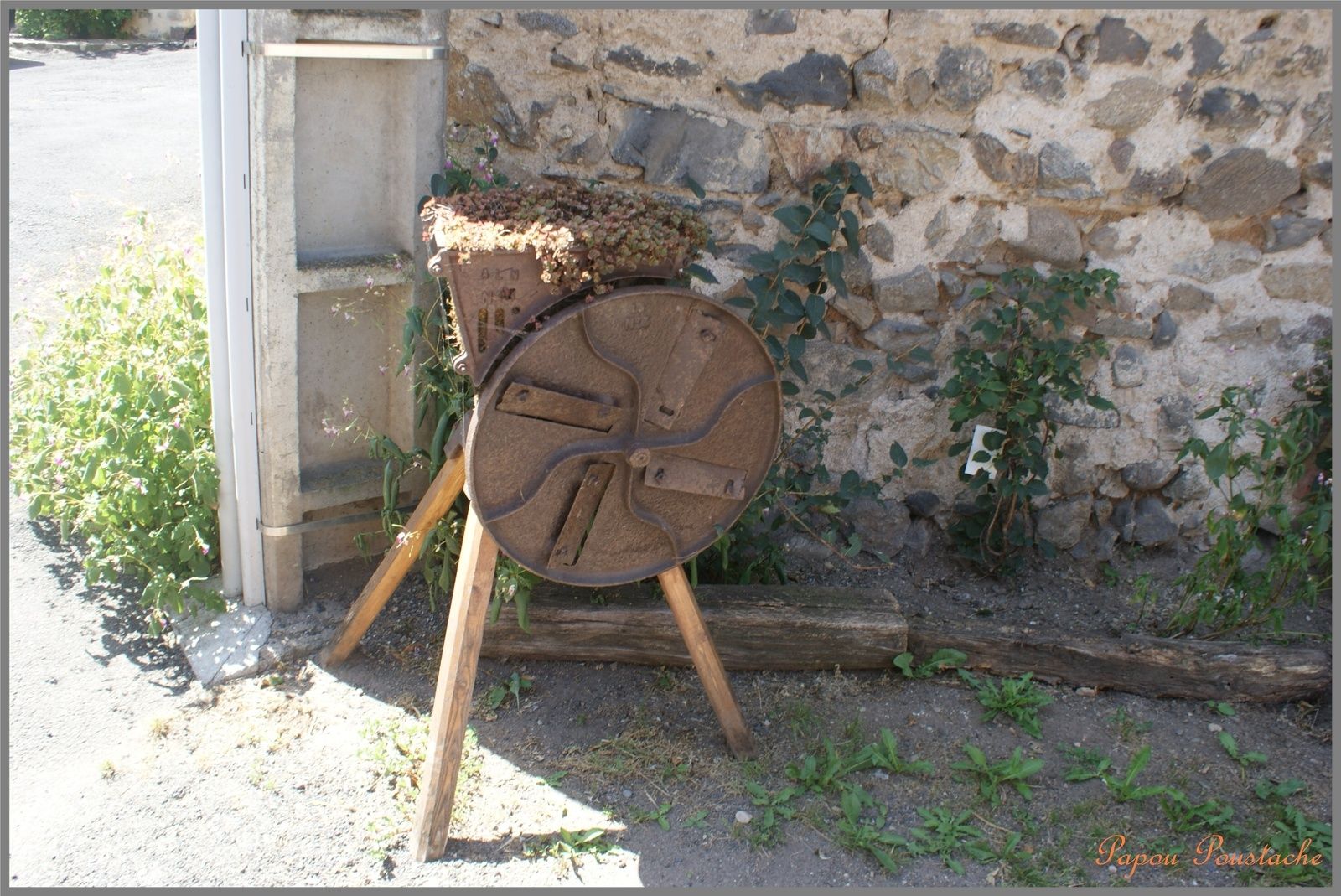  Courgoul