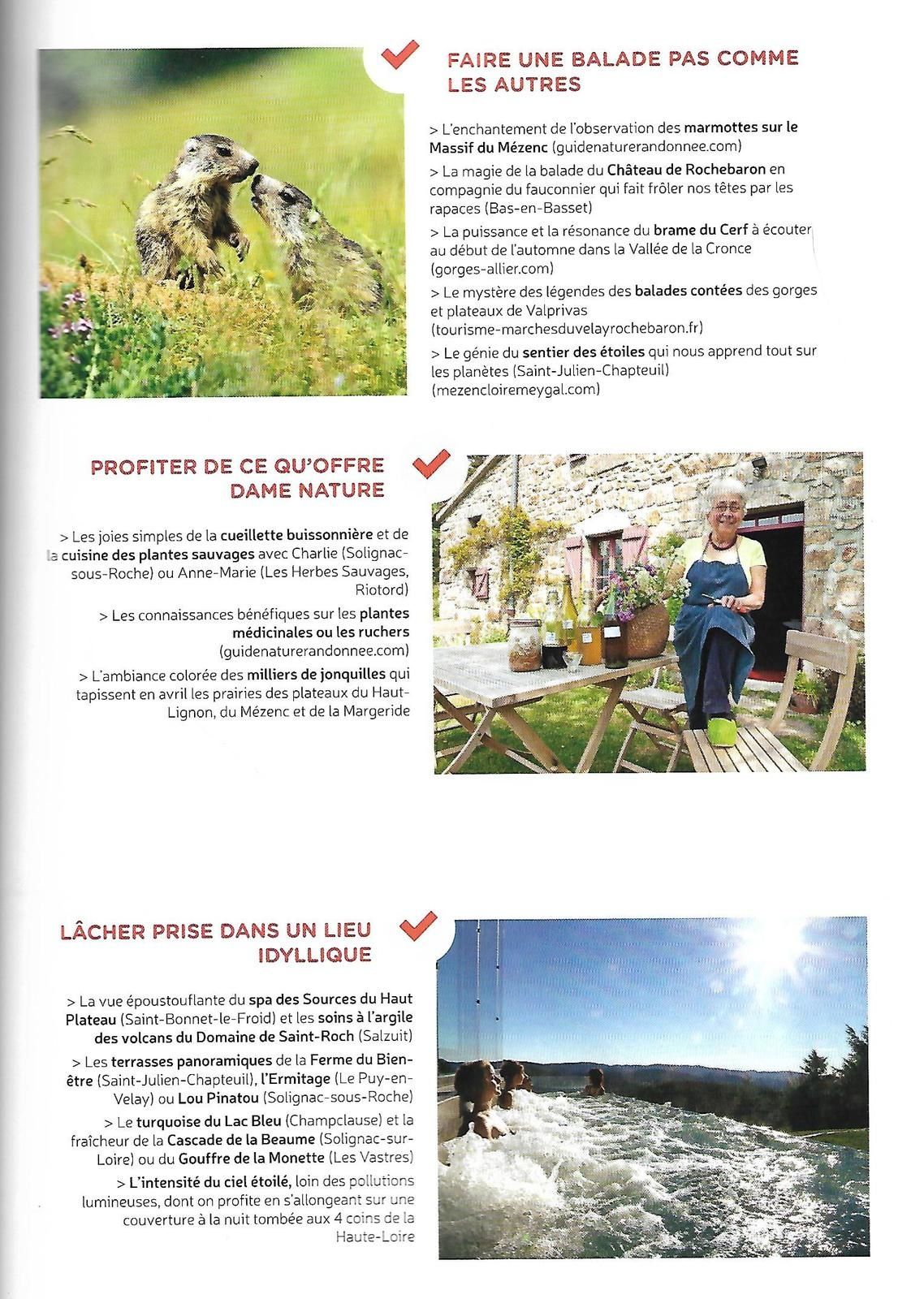 Focus sur le Magazine expérience