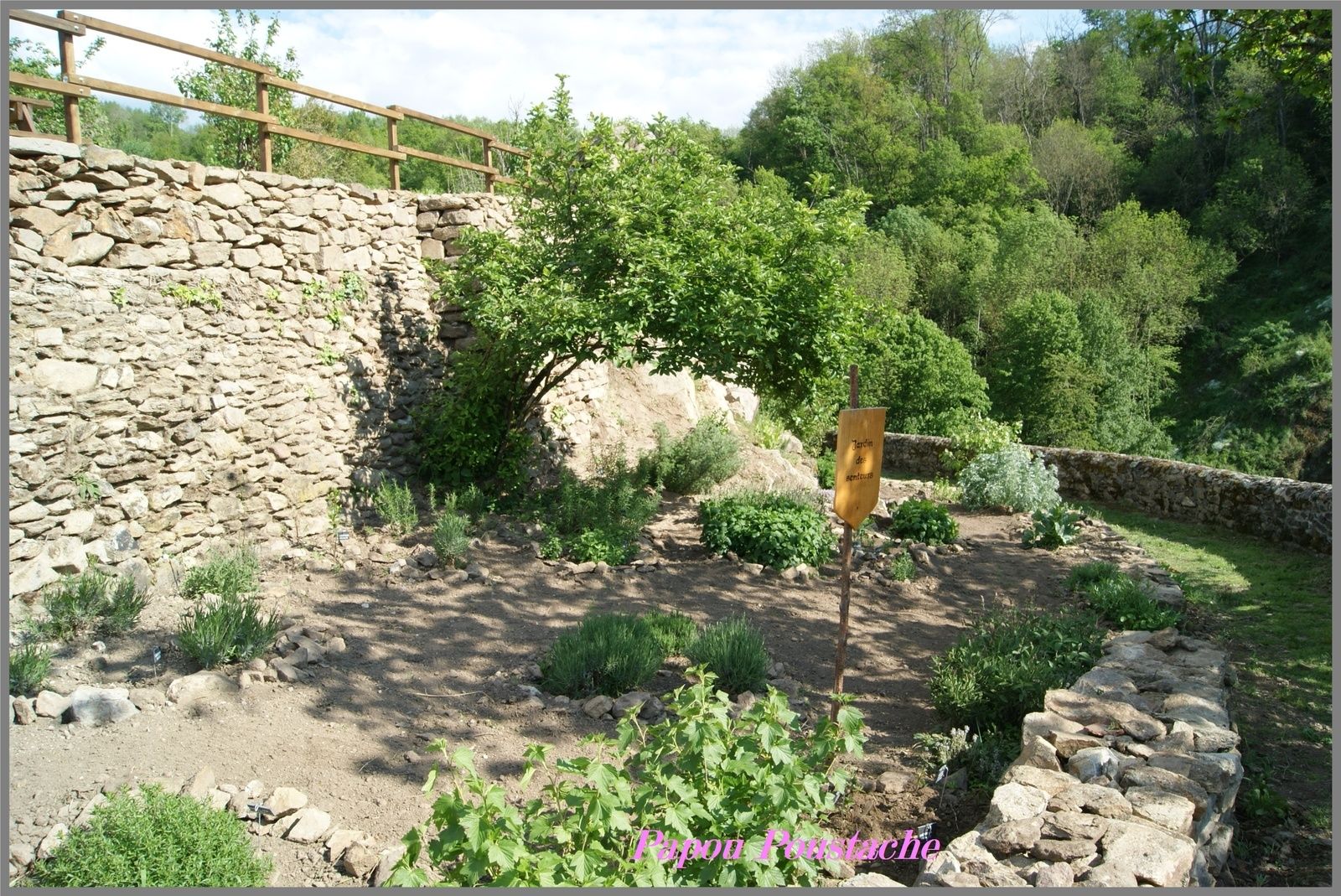 Chemin de ronde et Jardin des senteurs à Auzon