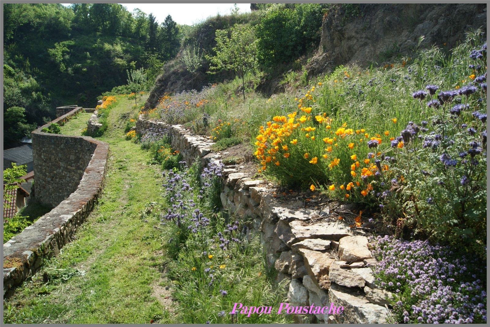Chemin de ronde et Jardin des senteurs à Auzon
