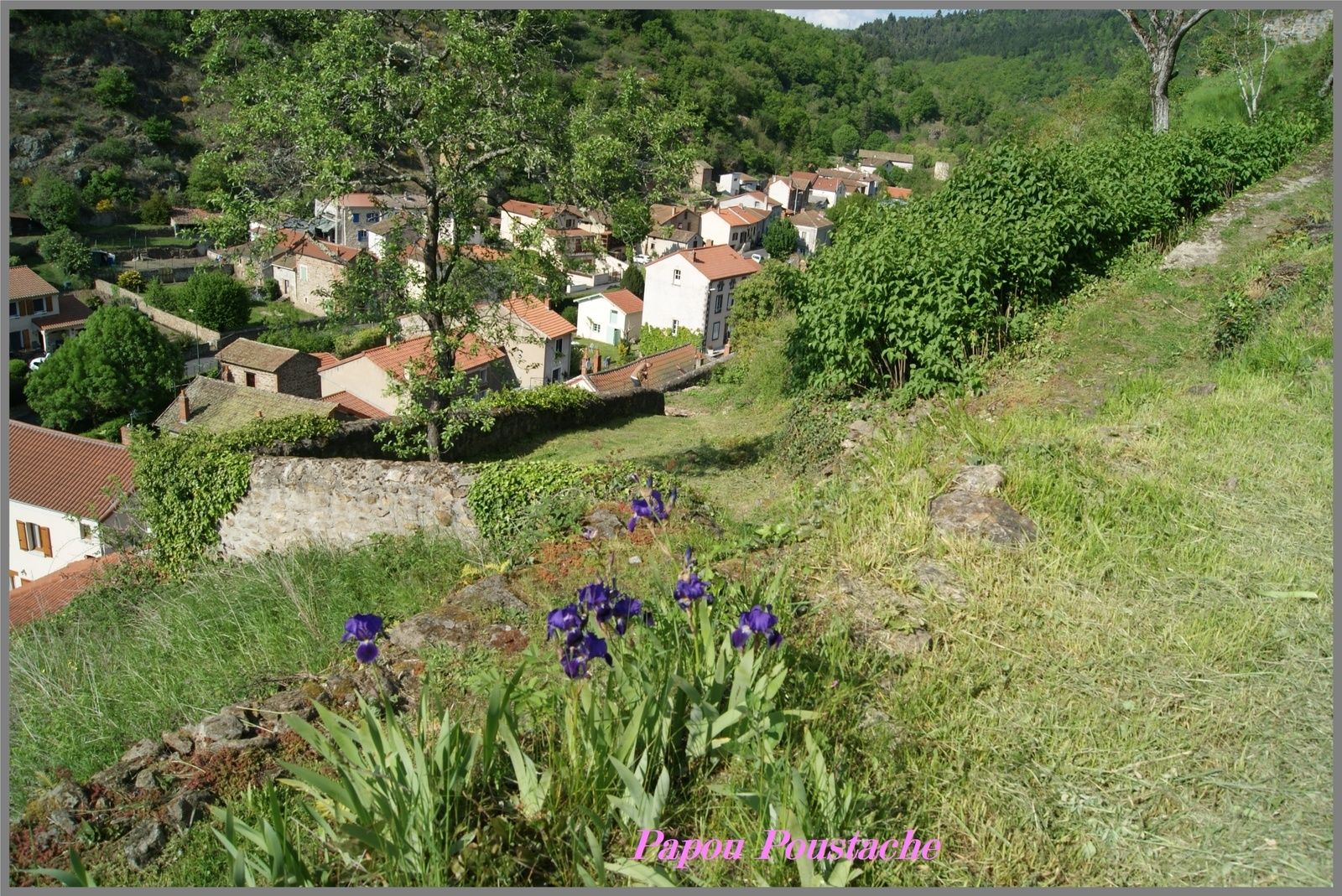 Chemin de ronde et Jardin des senteurs à Auzon