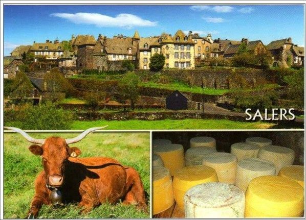 Les fromages d'Auvergne: Le Salers