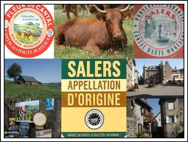 Les fromages d'Auvergne: Le Salers