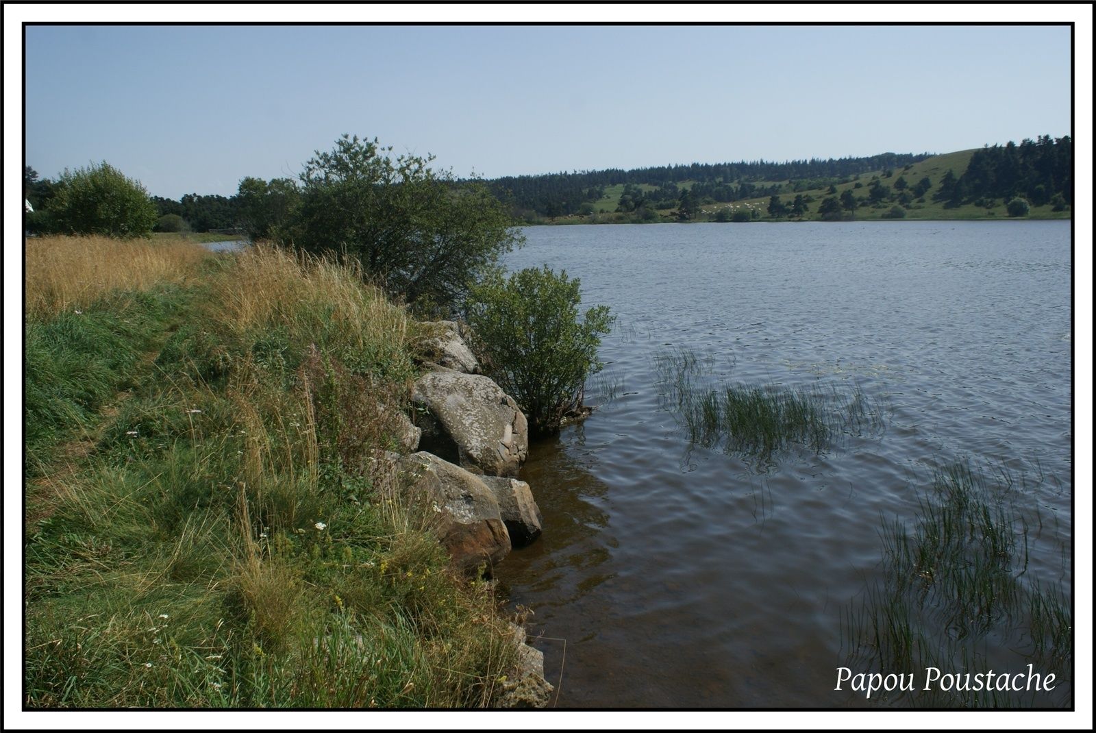 Le Lac du Pêcher  Ce merveilleux site connait depuis quelques mois un nombre sans cesse grandissant de visiteurs...la cause ??? sans doute grâce à une heureuse initiative, le "traçage" d'un circuit didactique. Ce sentier de randonnée prend naissance près du lac, et s'enfonce dans les genévriers pour accéder à un point haut duquel un magnifique panorama s'ouvre au marcheur : d'un côté les monts du Cantal, d'un autre le massif du Sancy, et derrière l'étendue du lac où les grèbes et poules d'eau se font entendre.... Un havre de paix et de tranquillité. A découvrir ou redécouvrir  Pour en savoir plus cliquer sur ce lien  Le Lac du pècher