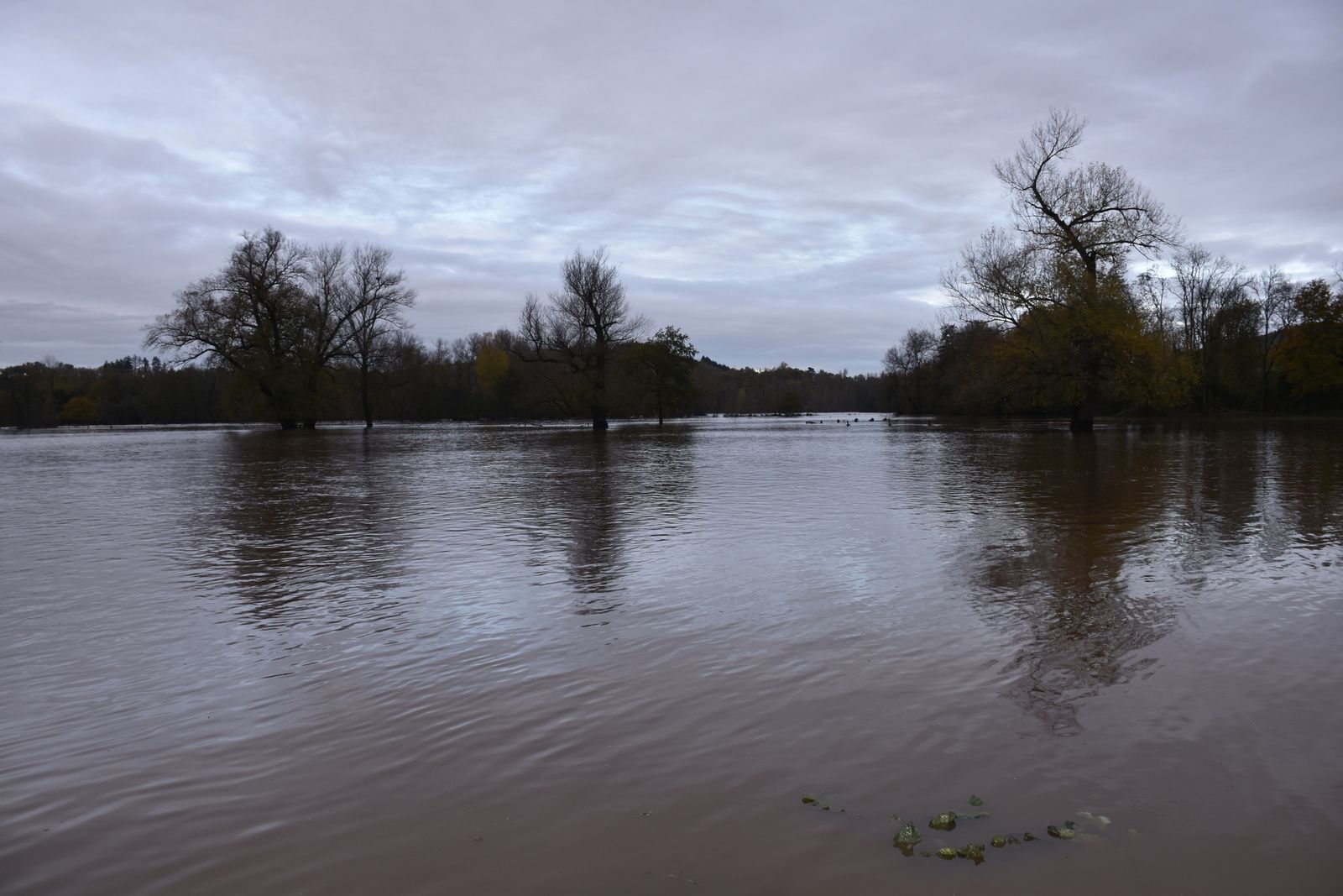 Les grandes crues de l'Allier