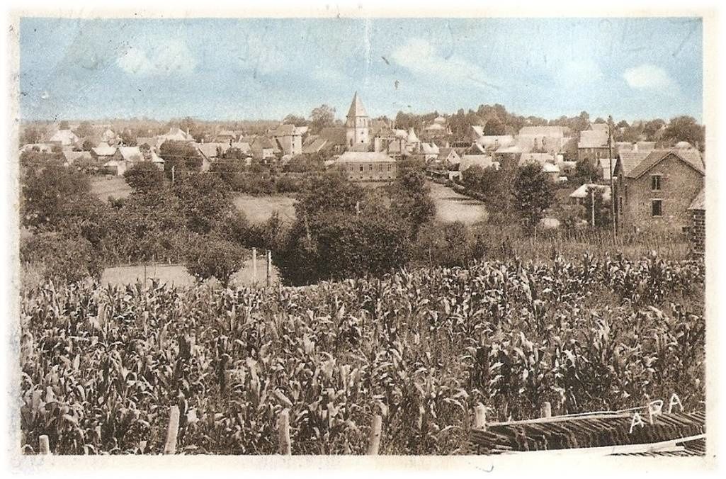Il était une fois Ally dans le Cantal