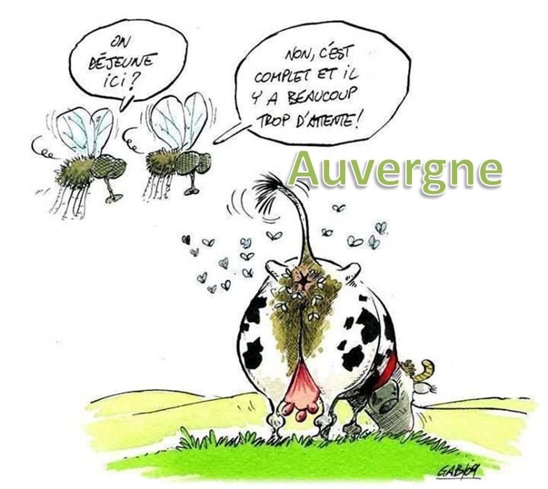 Avoir Images Blagues Auvergnates Tome 3 L Auvergne Vue Par Papou Poustache le plus cool salutations