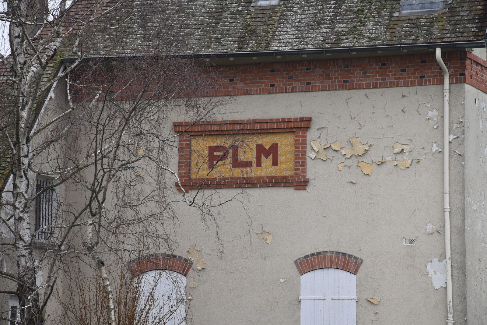 PLM