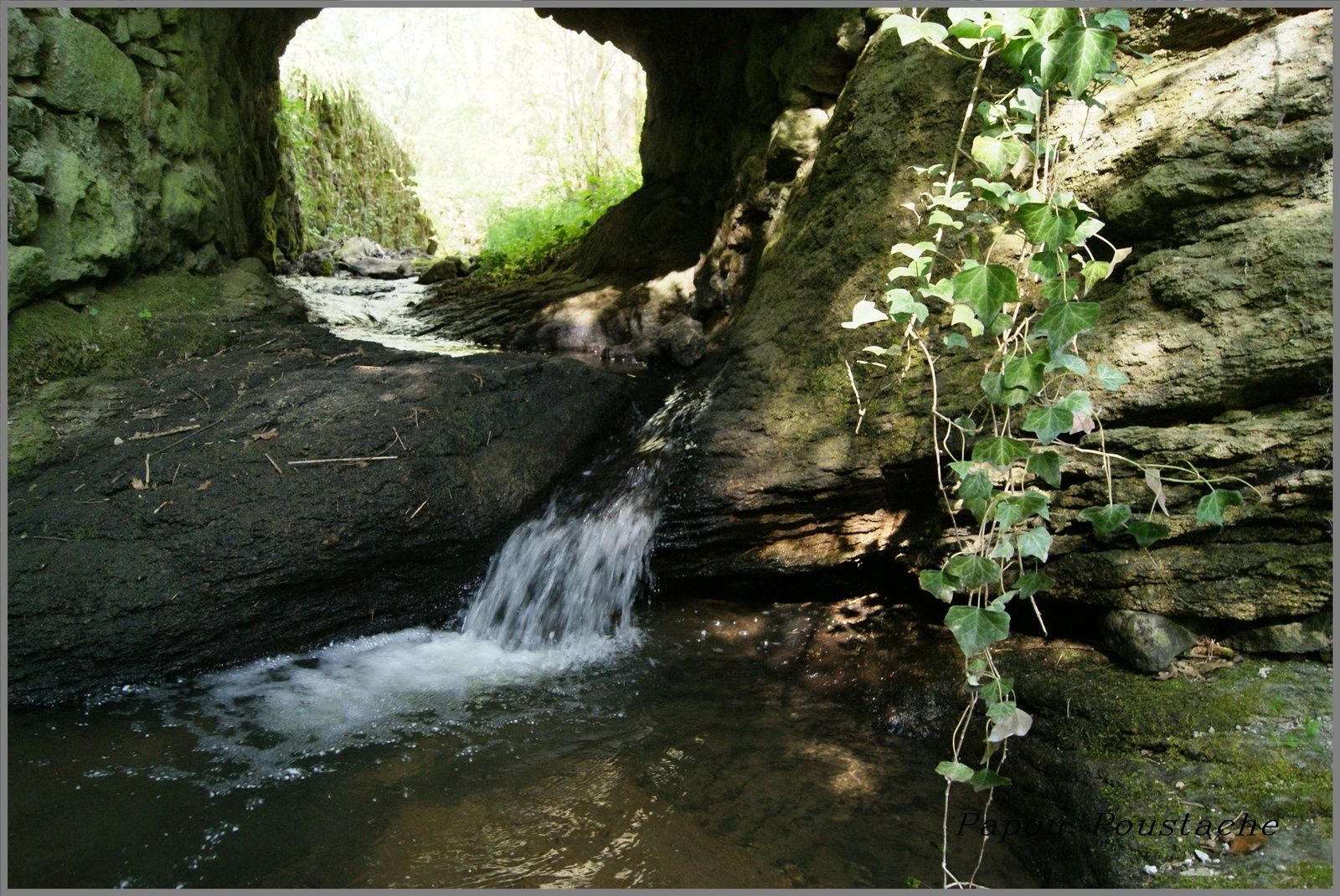 La Monne est une petite rivière torrentueuse qui prend sa source dans le Puy-de-Dôme, près du col de la Croix-Morand, au-dessus du village de Mareuge, à 1300 m d'altitude, et qui se jette dans la Veyre à 380 m d'altitude.