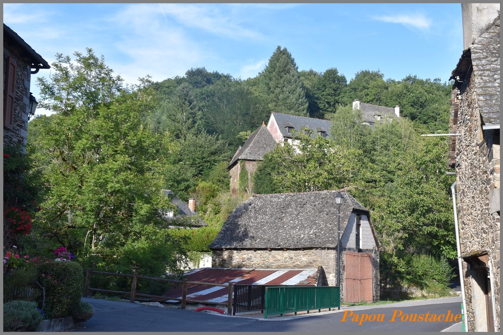 Vieillevie
