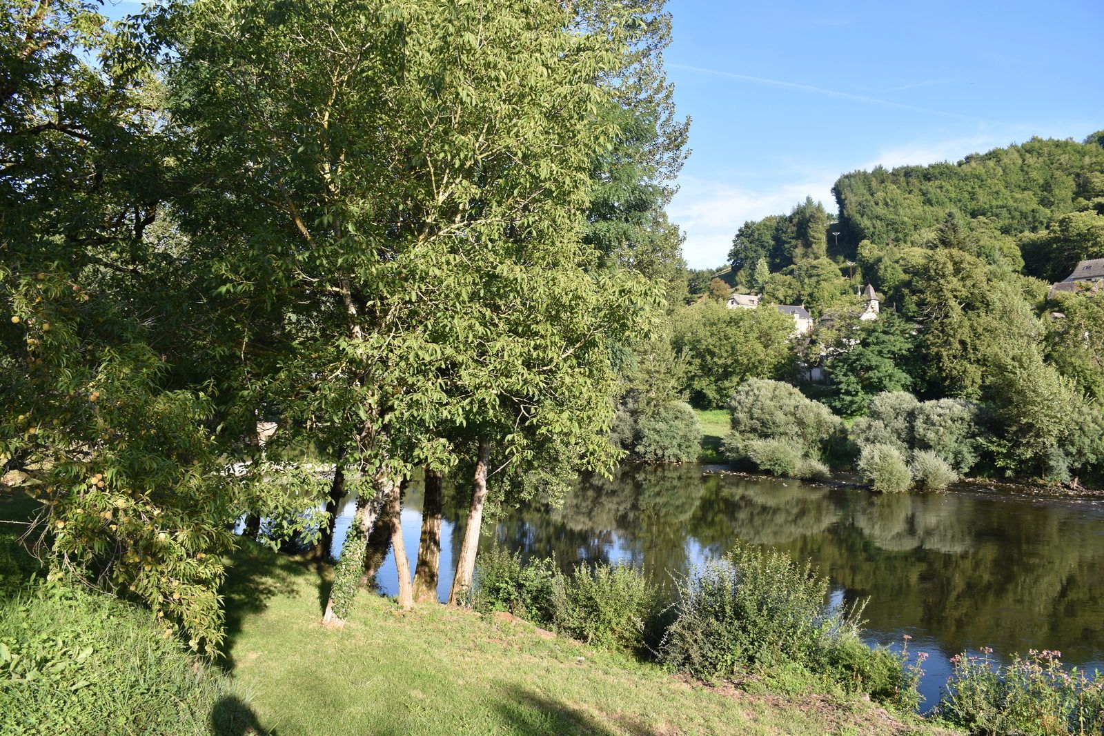 Vieillevie
