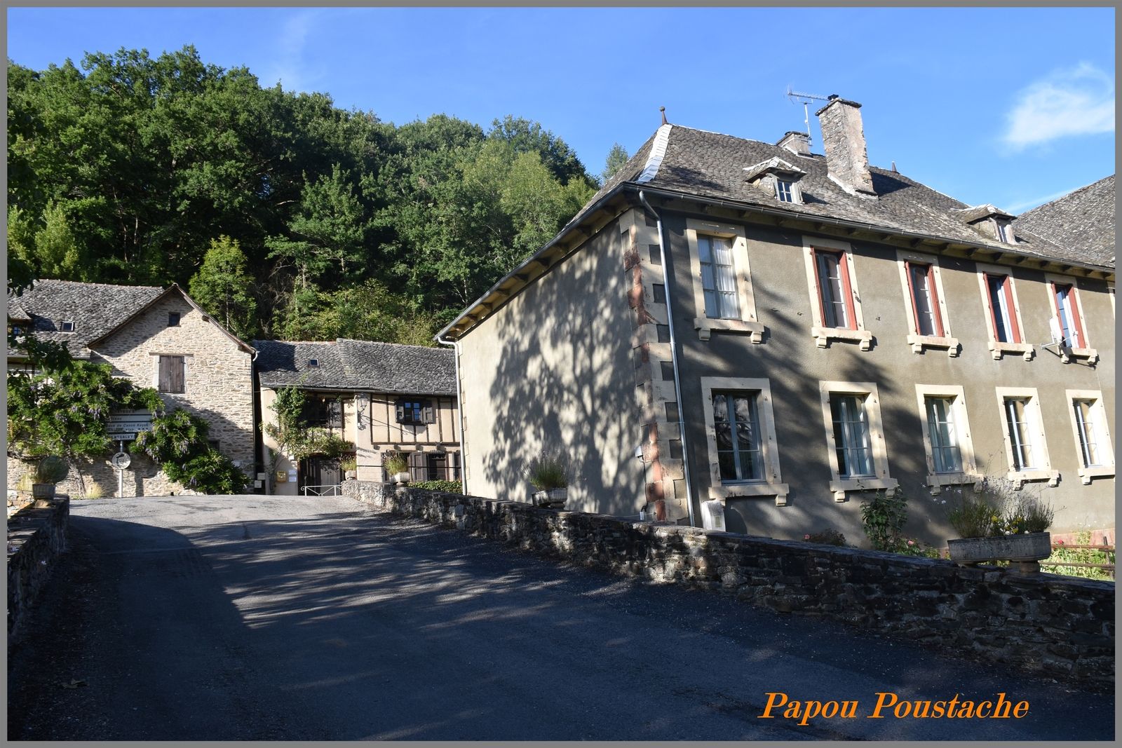 Vieillevie