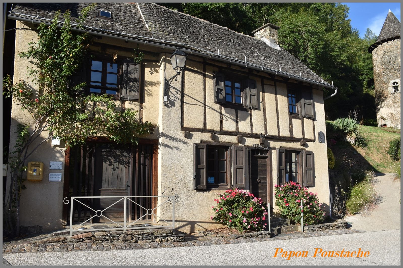 Vieillevie