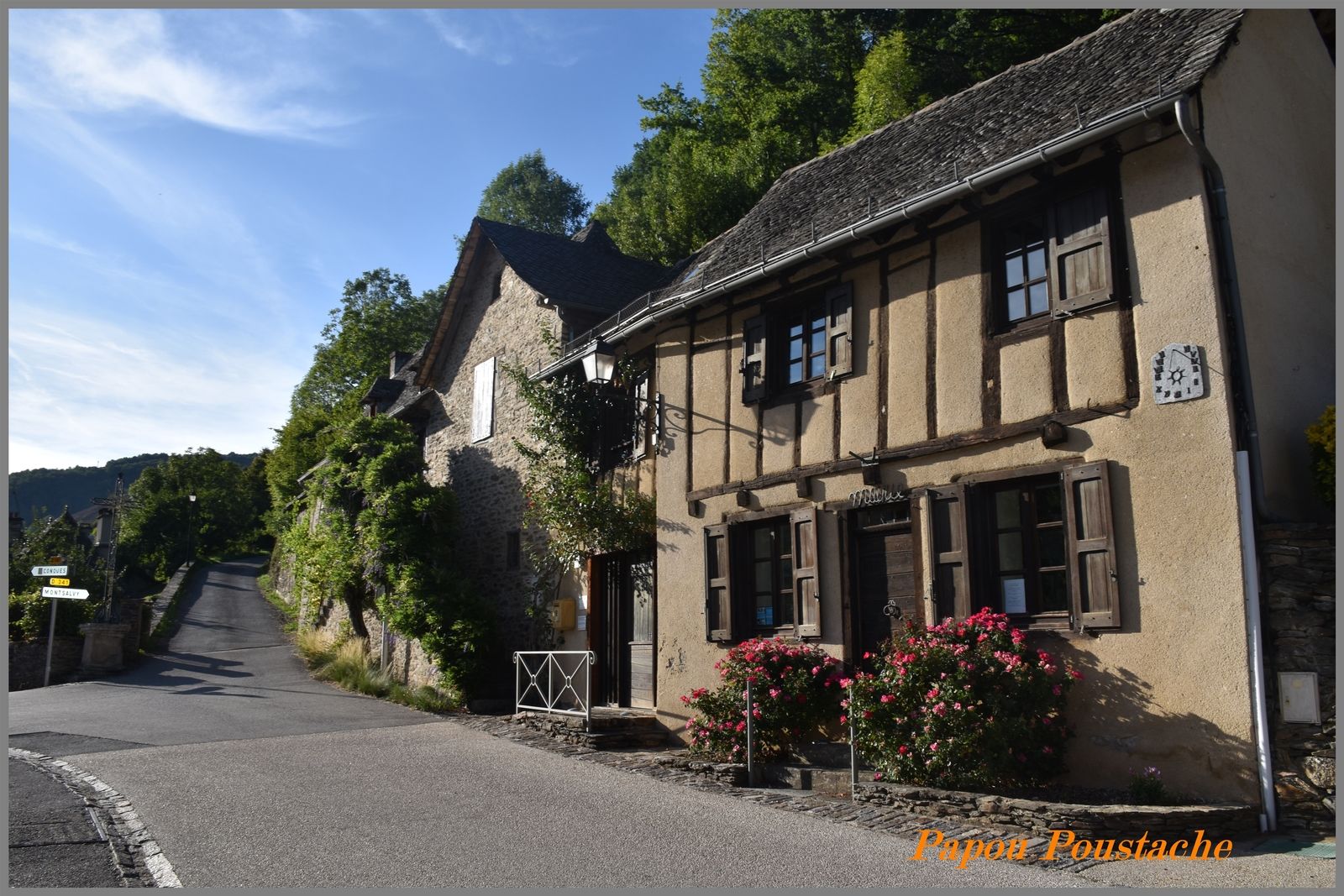 Vieillevie