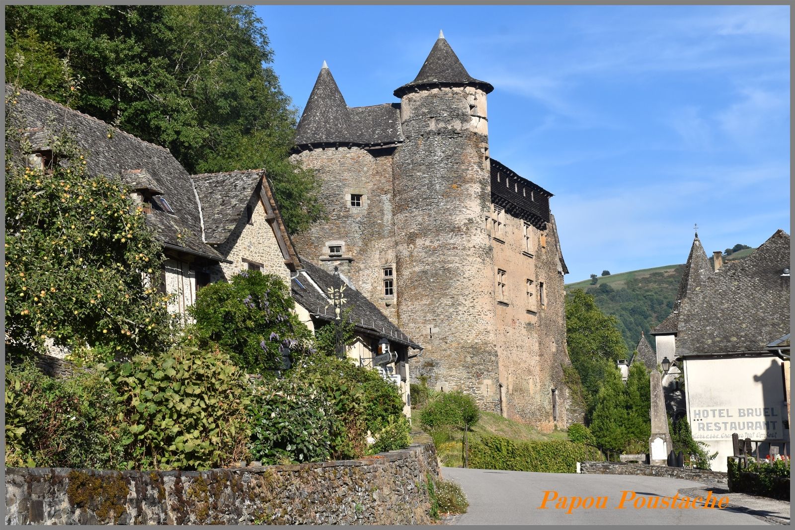 Vieillevie
