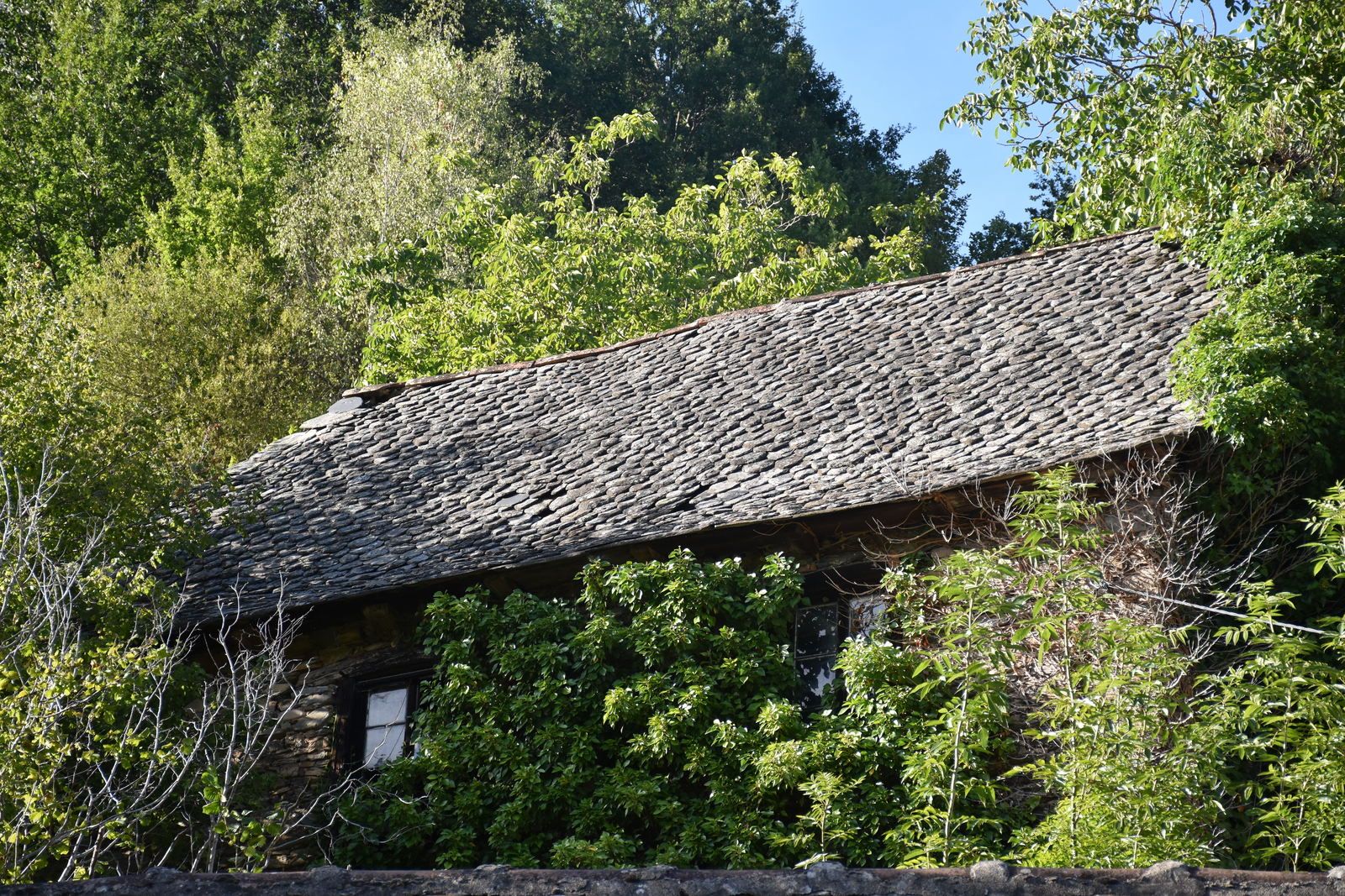 Vieillevie