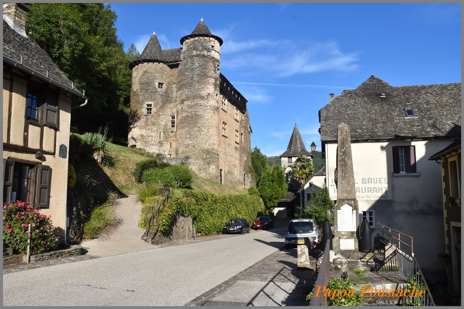 Vieillevie