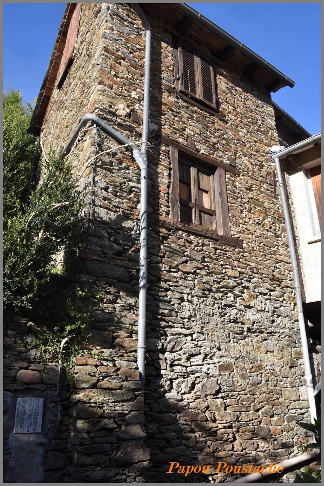 Vieillevie